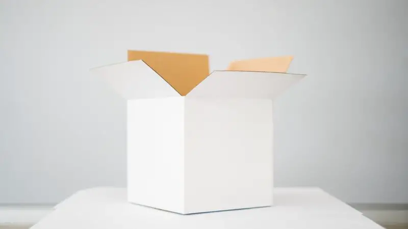 Qui a Inventé le Carton d'Emballage ?