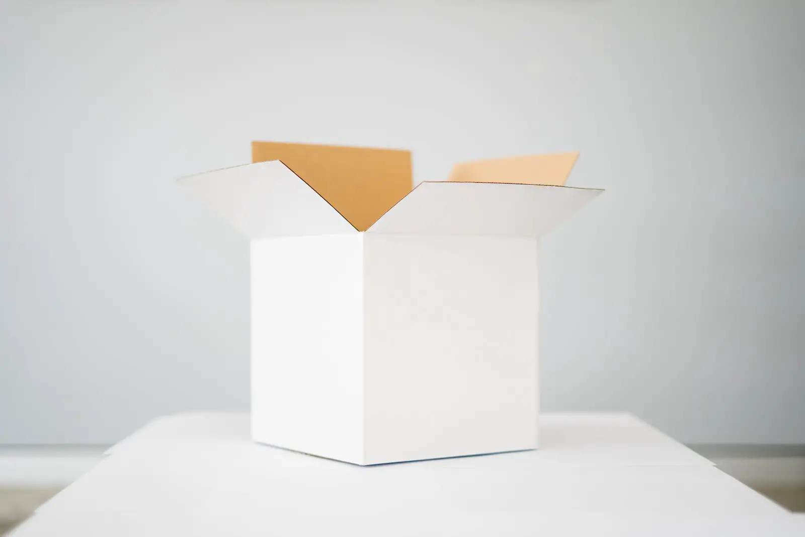 Qui a Inventé le Carton d’Emballage ?
