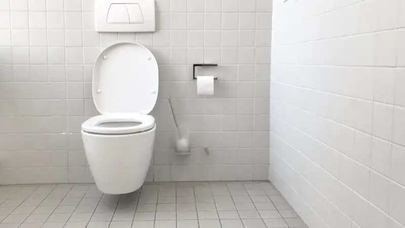 Qui a inventé les toilettes modernes ?